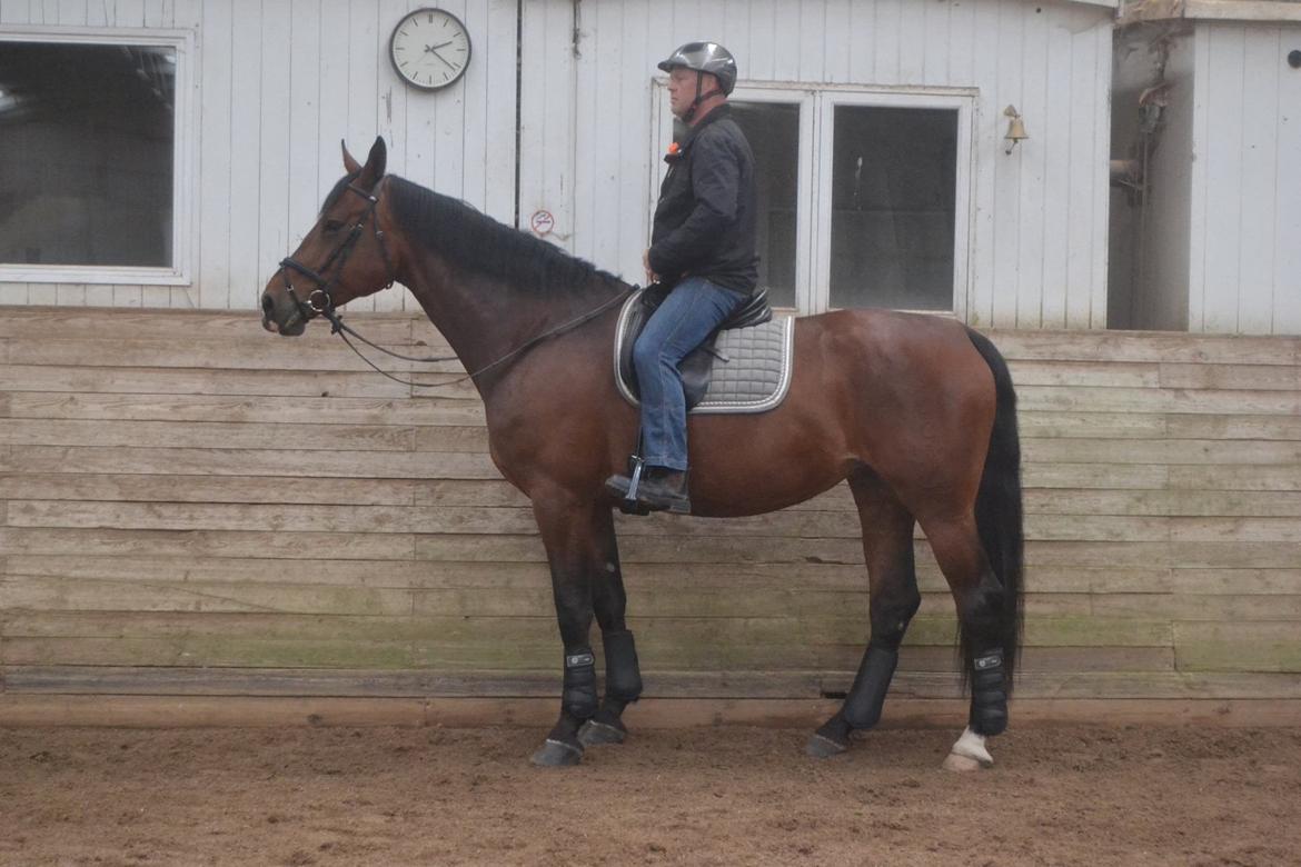 Oldenborg MADONNA billede 11