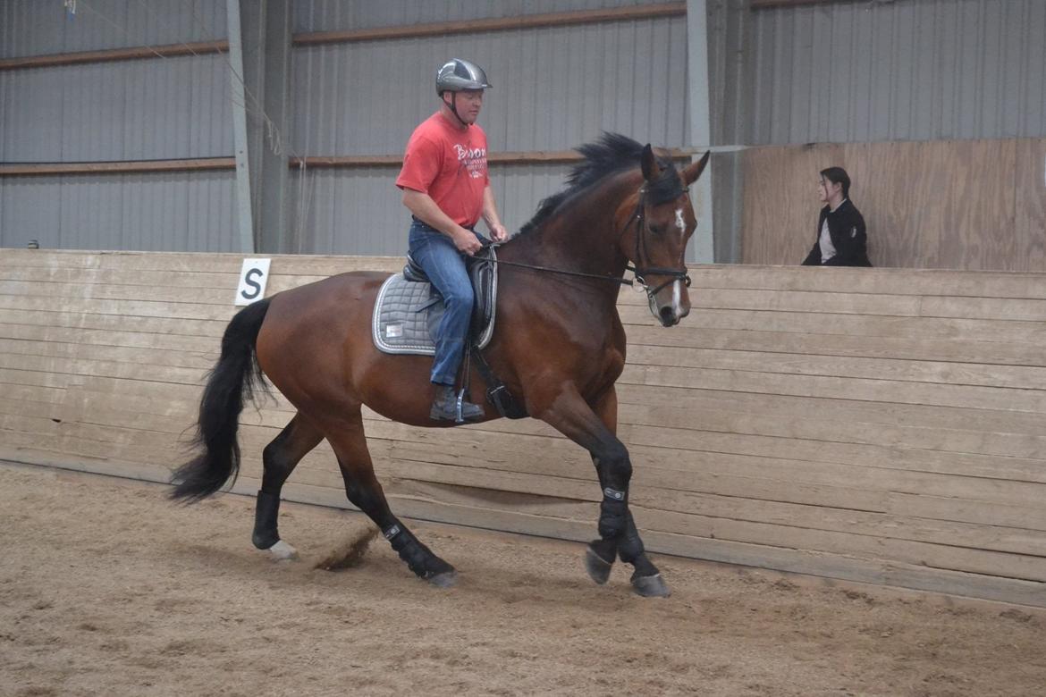 Oldenborg MADONNA billede 10