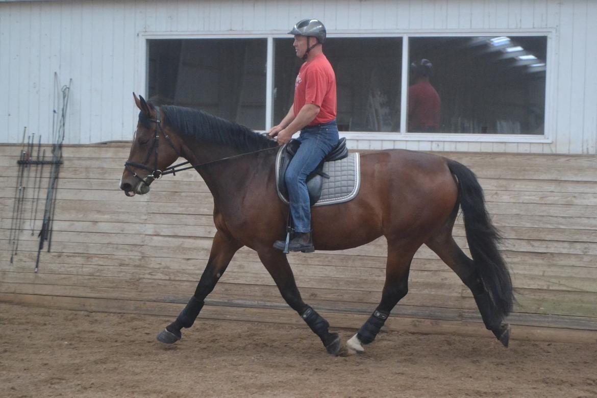 Oldenborg MADONNA billede 12