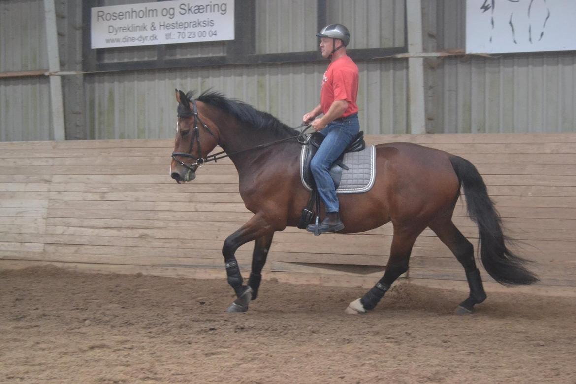 Oldenborg MADONNA billede 14