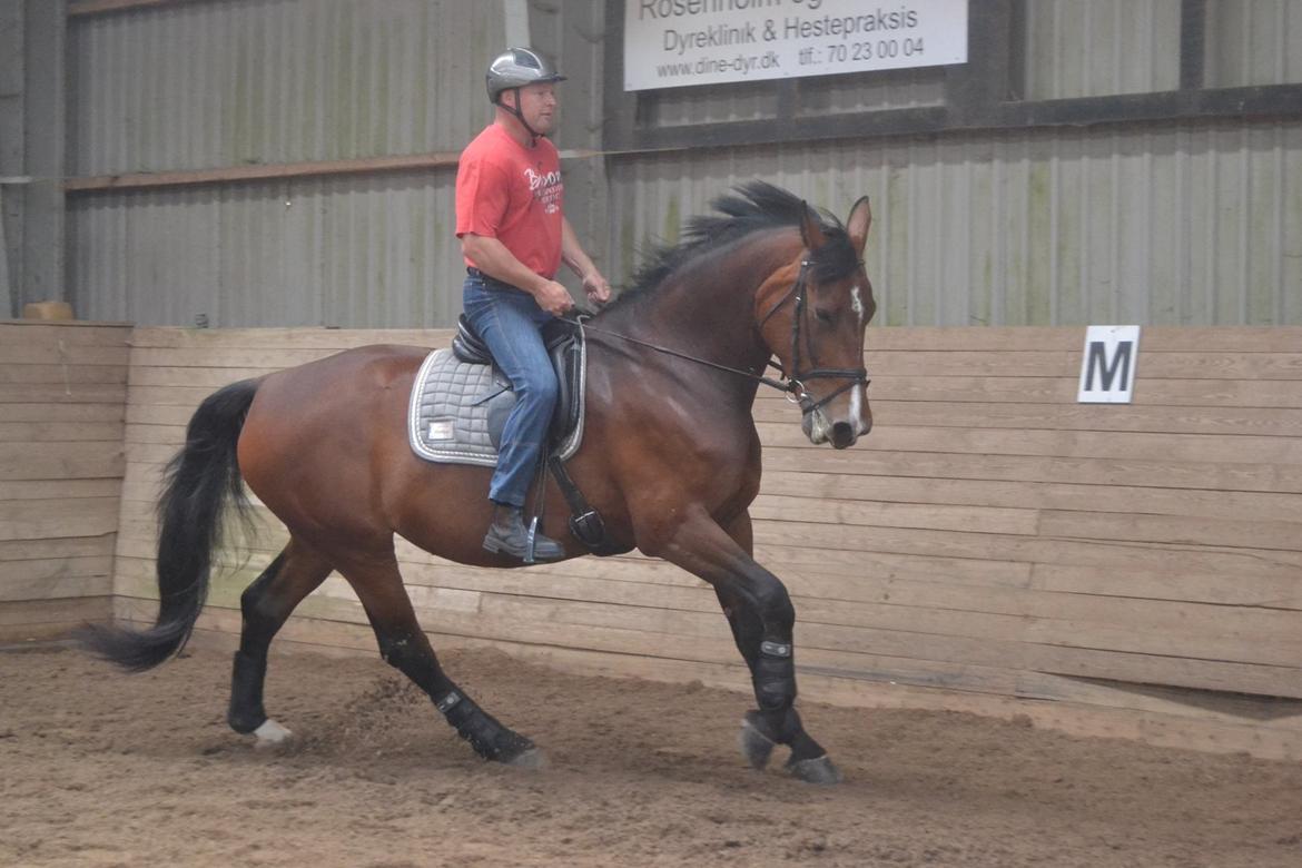 Oldenborg MADONNA billede 13