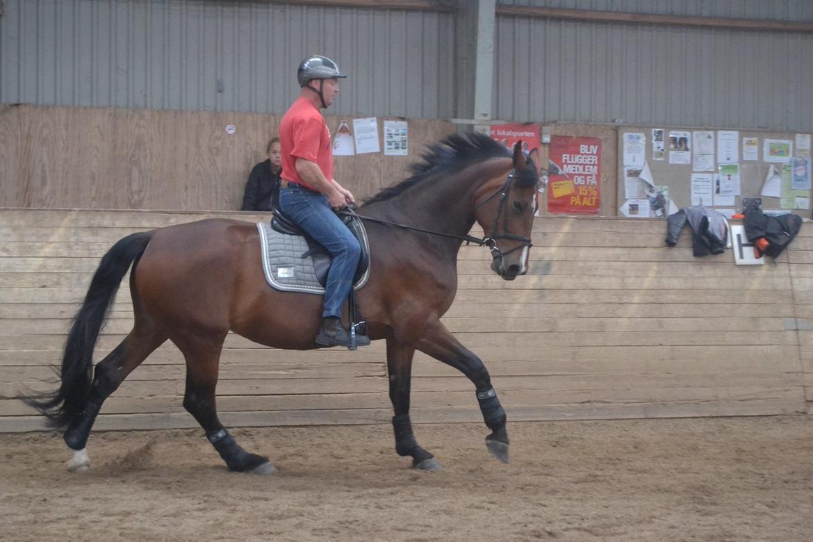 Oldenborg MADONNA billede 15