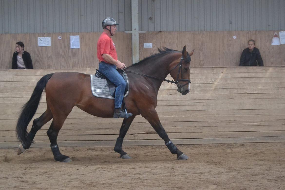 Oldenborg MADONNA billede 16