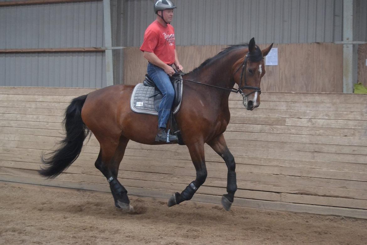 Oldenborg MADONNA billede 17