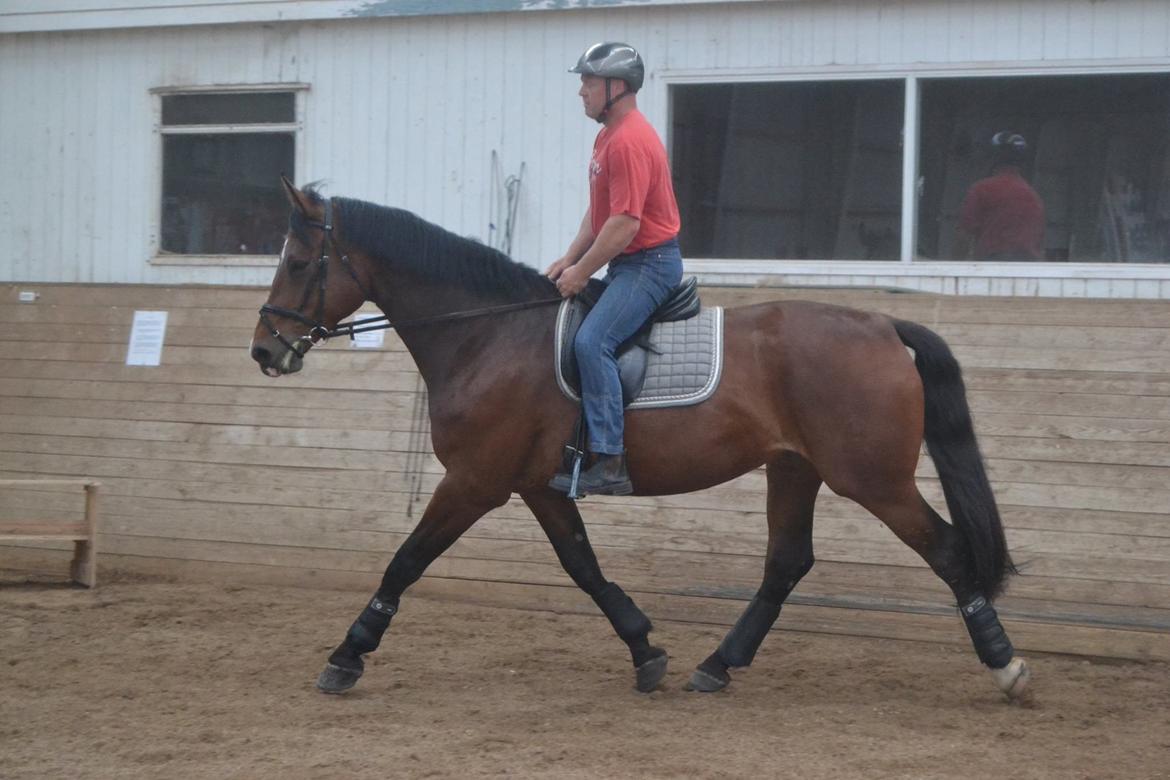 Oldenborg MADONNA billede 18