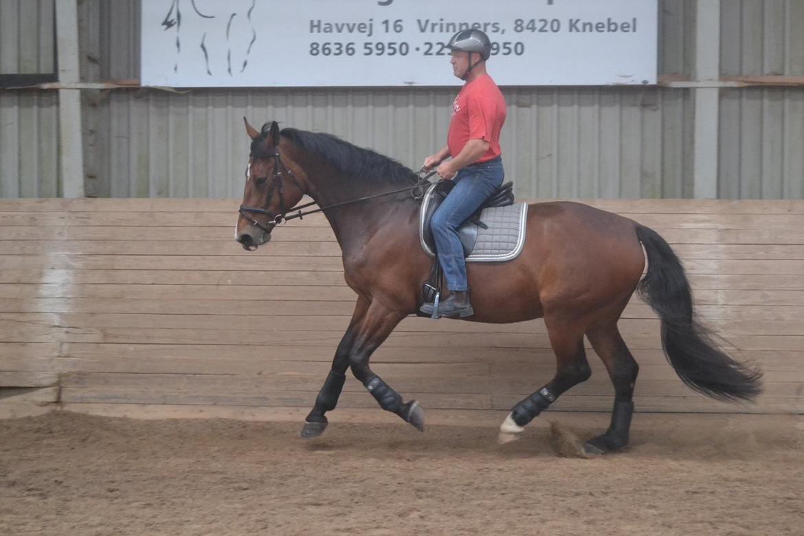 Oldenborg MADONNA billede 19