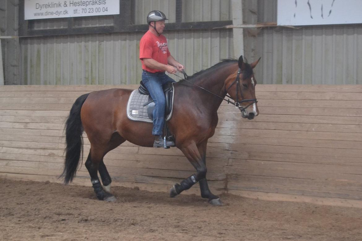 Oldenborg MADONNA billede 25