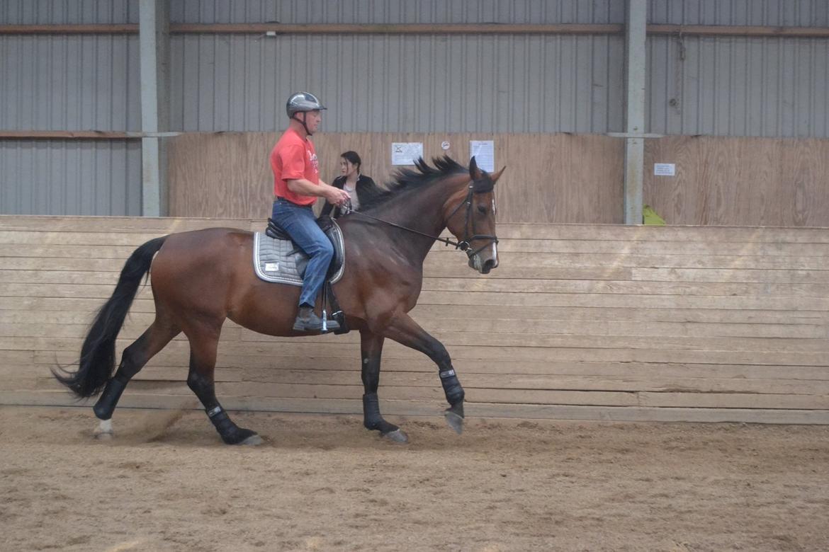 Oldenborg MADONNA billede 24