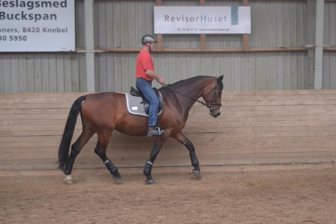 Oldenborg MADONNA billede 26