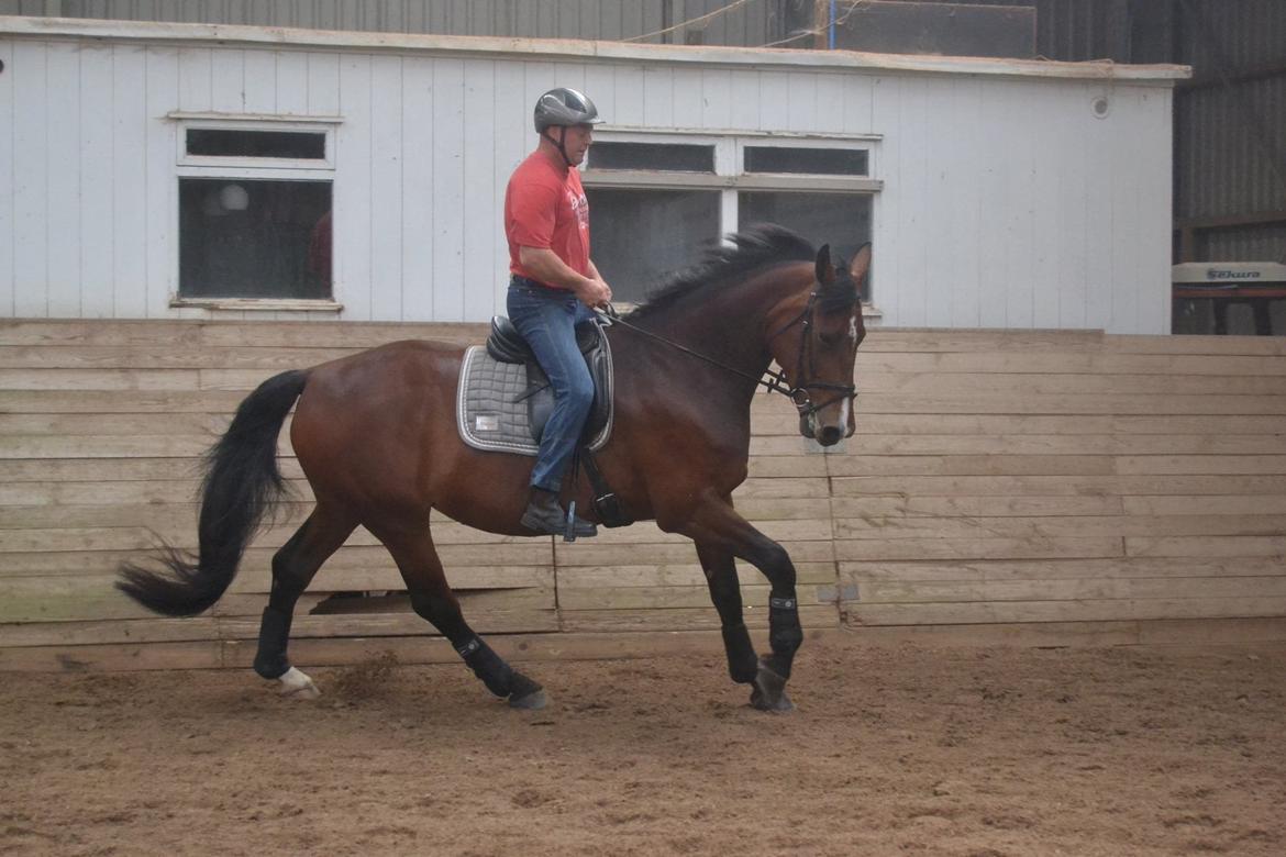 Oldenborg MADONNA billede 27