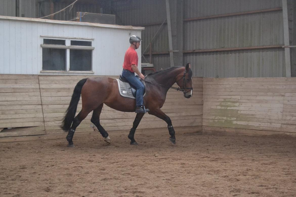 Oldenborg MADONNA billede 28