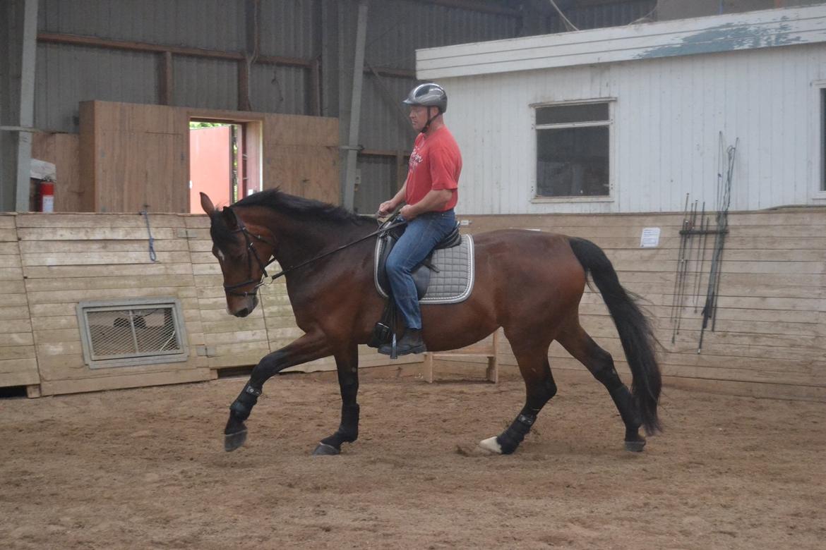 Oldenborg MADONNA billede 29