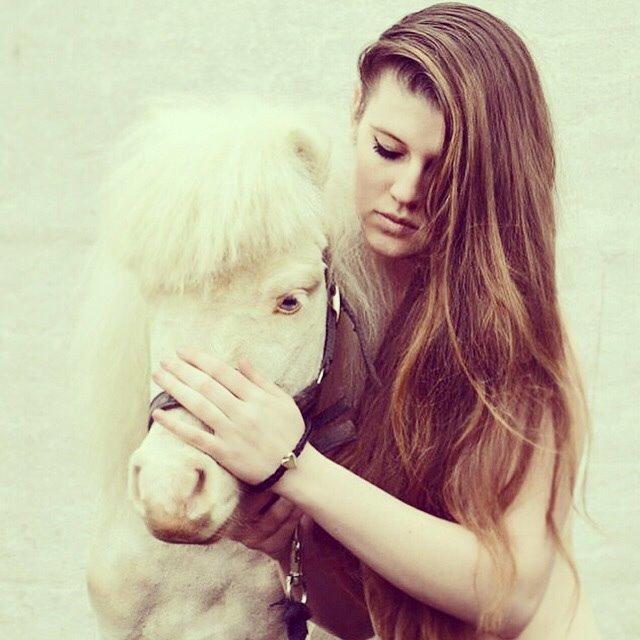 Amerikansk Miniature Marielund's Incredible *AVLSHINGST* billede 5