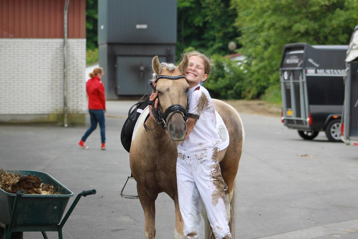 Anden særlig race Sofielunds Baloo- A-pony - Når ponyen er sej, blir man rullet... 2015 billede 9