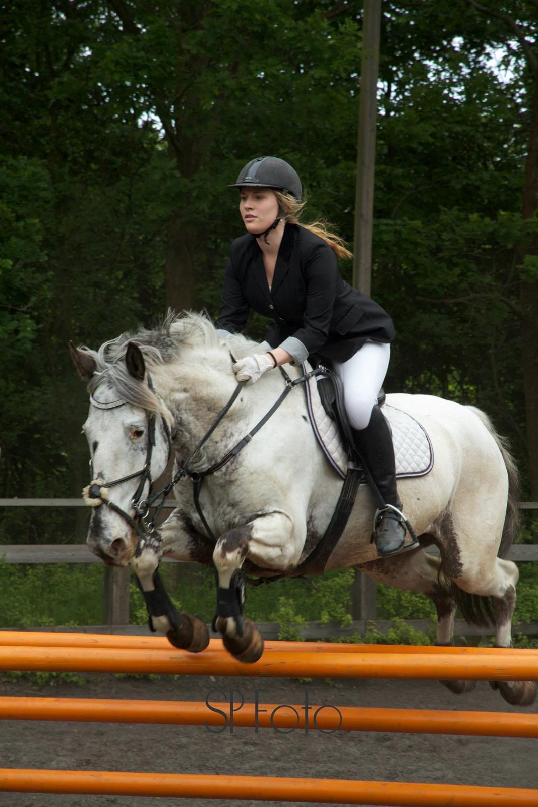 Knabstrupper Rikke Af Dutterup - LC på LRK 13/6-15 billede 1