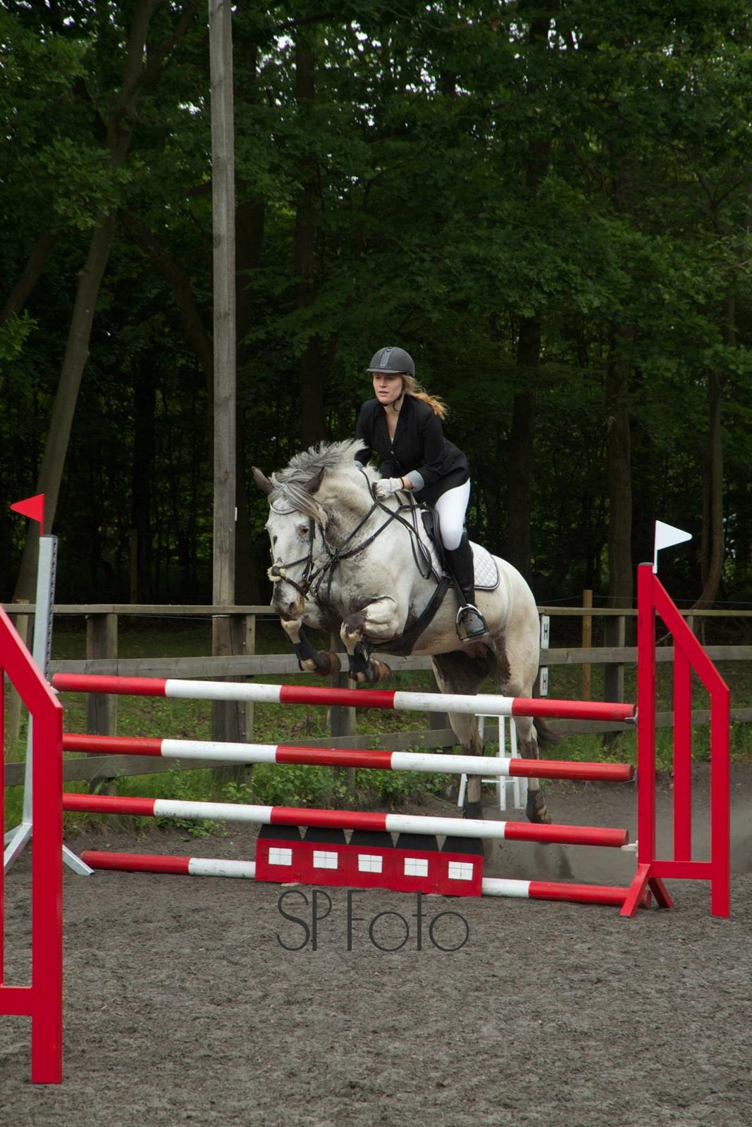 Knabstrupper Rikke Af Dutterup - LC på LRK 13/6-15 billede 5