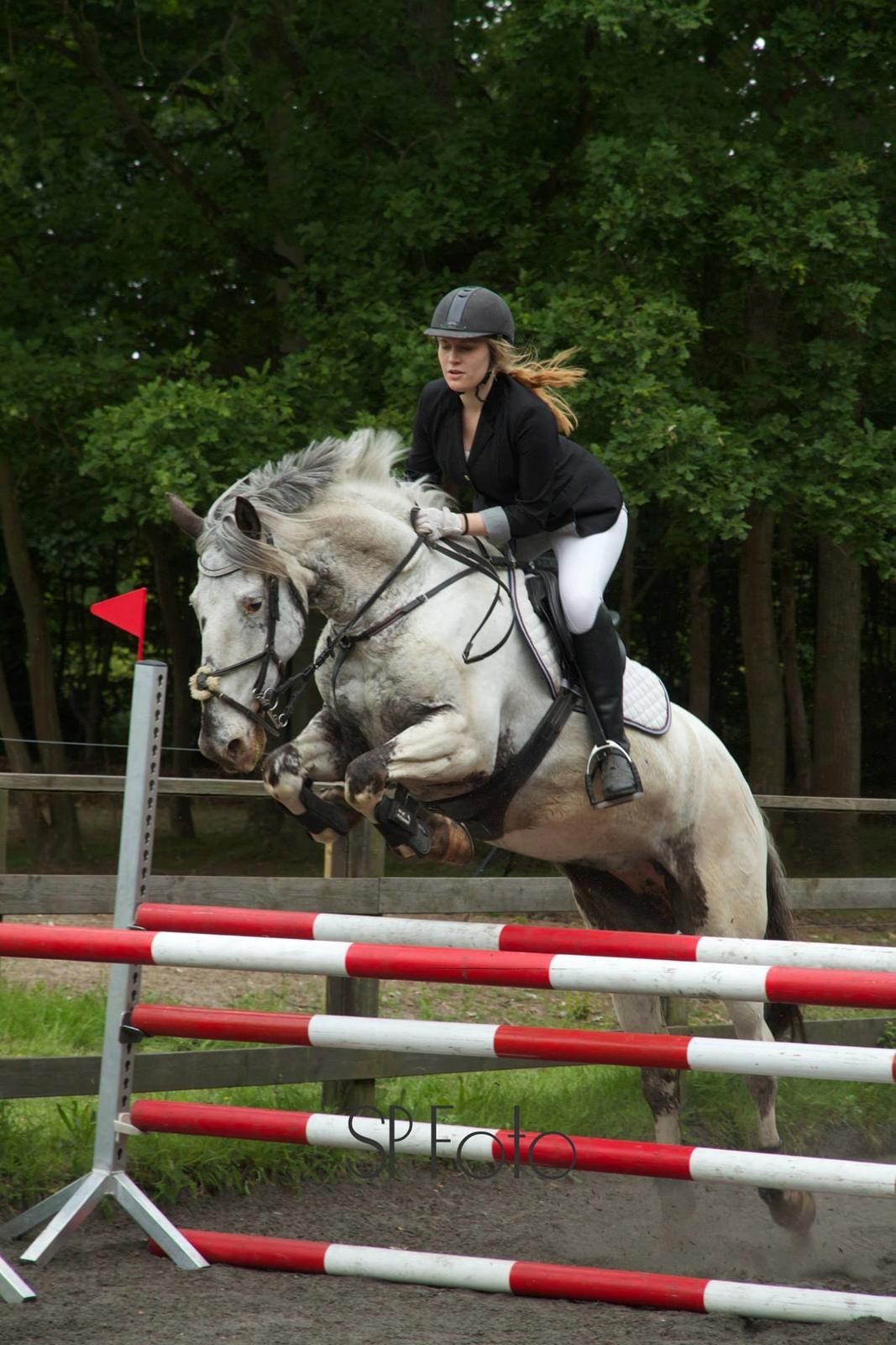 Knabstrupper Rikke Af Dutterup billede 8