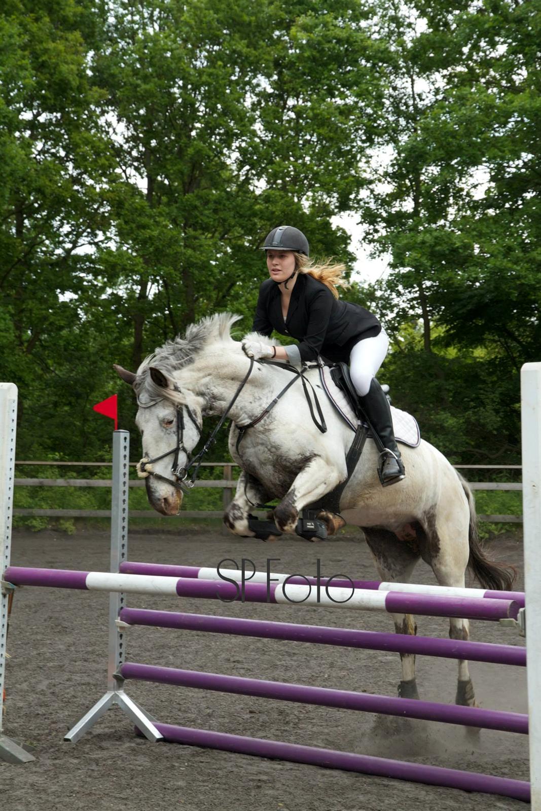 Knabstrupper Rikke Af Dutterup - LRK LD 13/6 billede 17