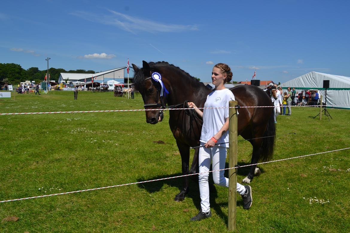 New Forest Elmholts nutella billede 26