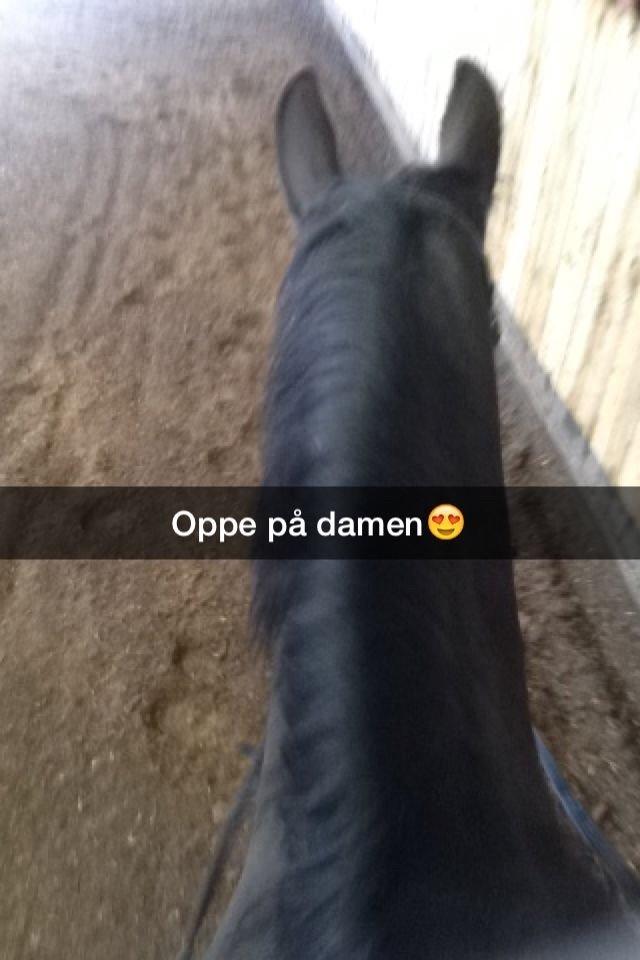 Oldenborg Tina Donholm billede 9