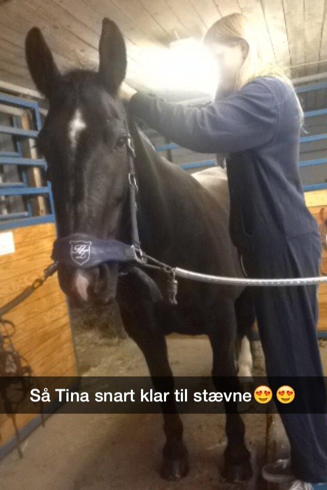 Oldenborg Tina Donholm - vores 2 stævne billede 11
