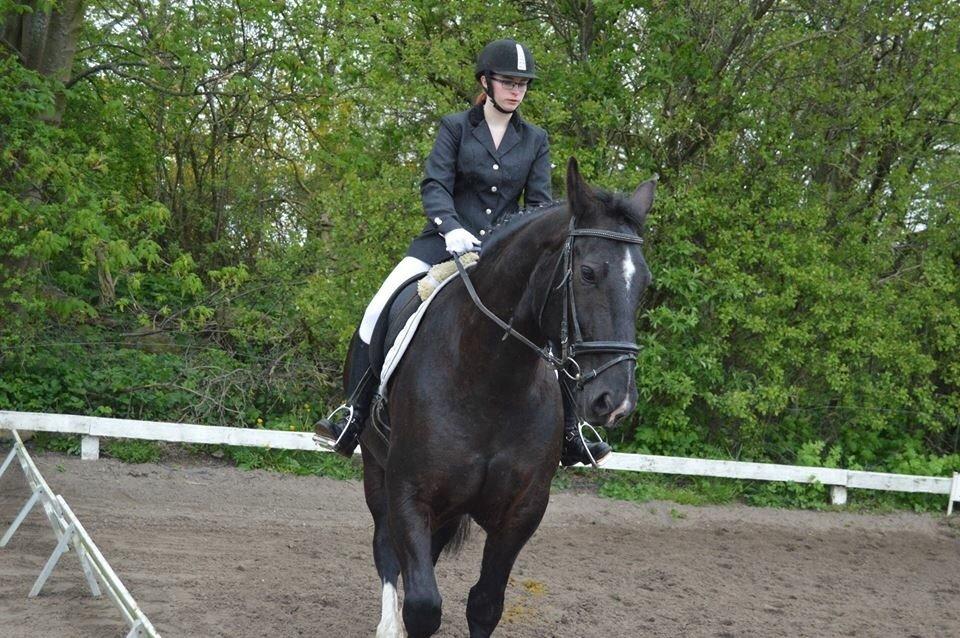 Oldenborg Tina Donholm - vores 2 stævne☺️ billede 13