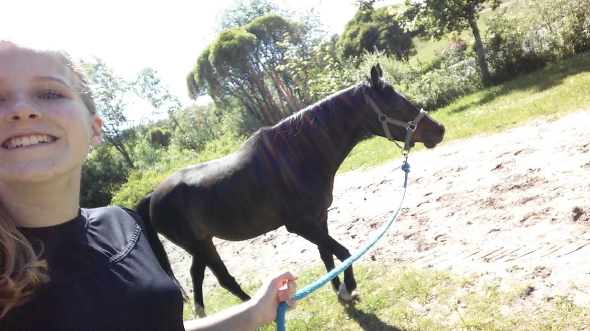 Tysk Sportspony AMK's Halo - Mus <3 billede 18