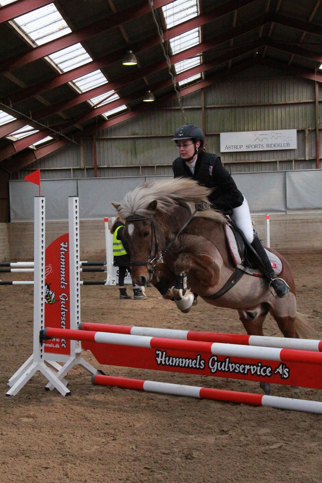 Islænder Silfur fra Trampboli billede 19