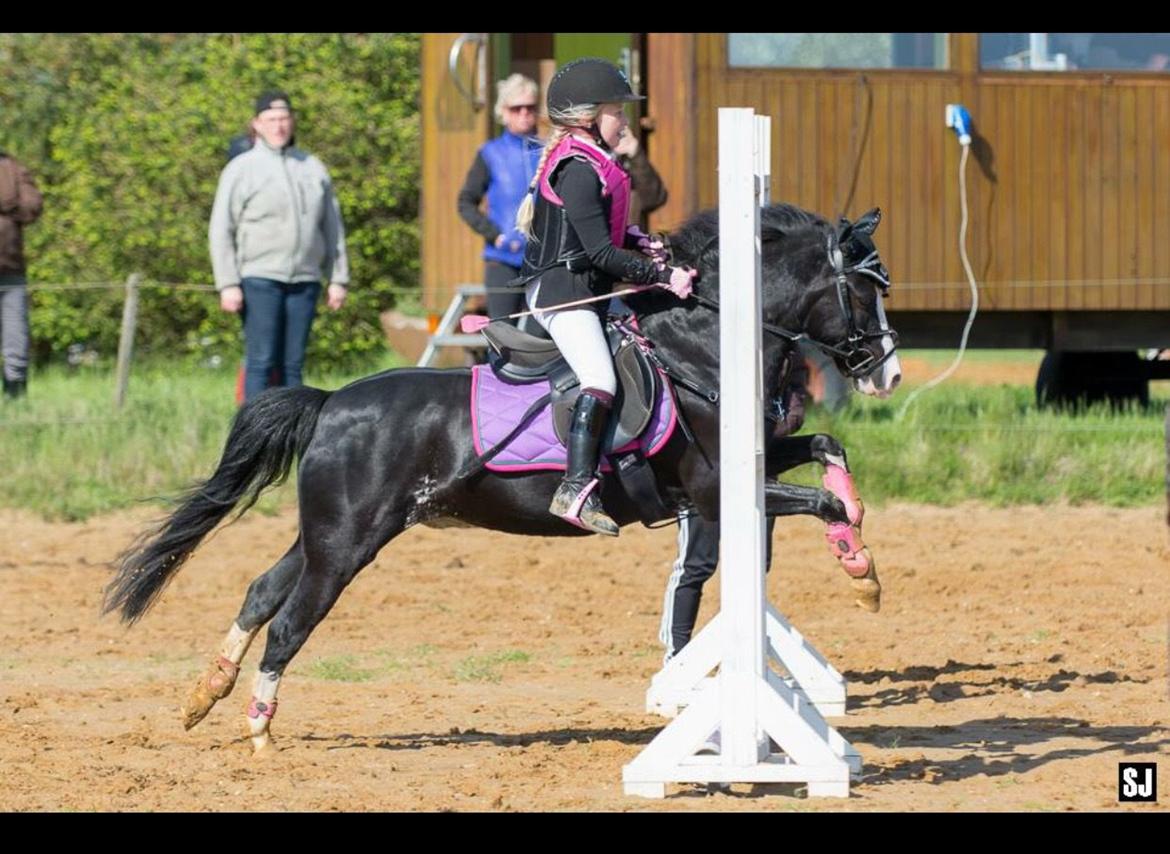 Anden særlig race Prinze of The Dark Spirit billede 11