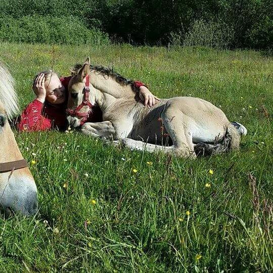 Anden særlig race Sukinox Her kommer jeg *Kalle* billede 6