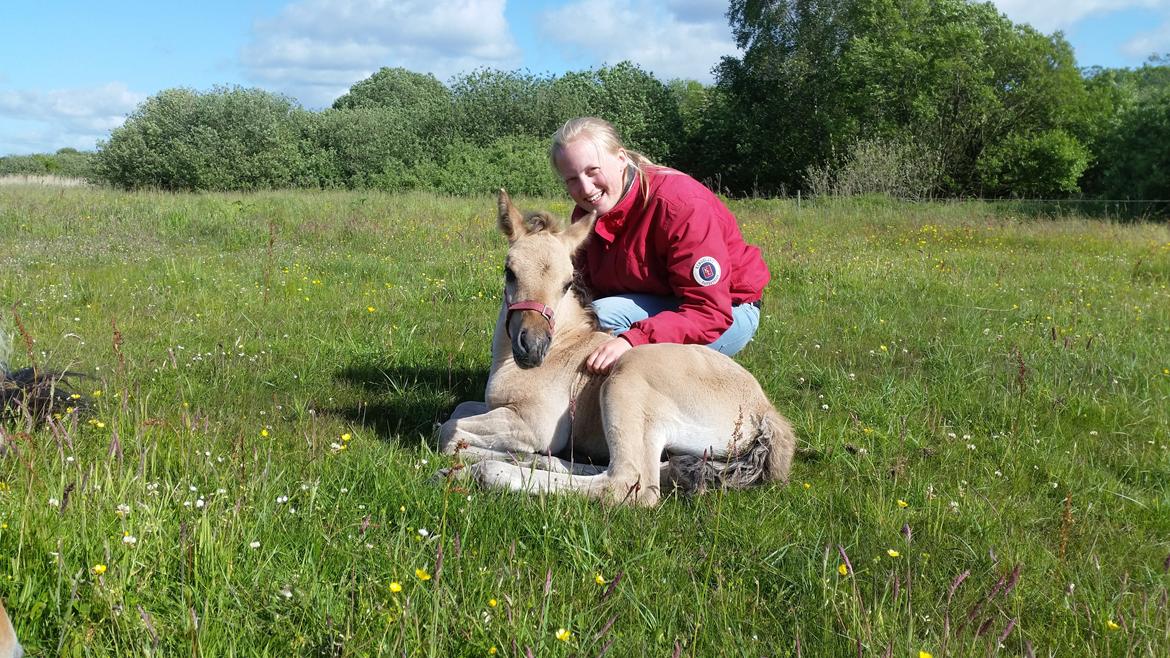 Anden særlig race Sukinox Her kommer jeg *Kalle* billede 7
