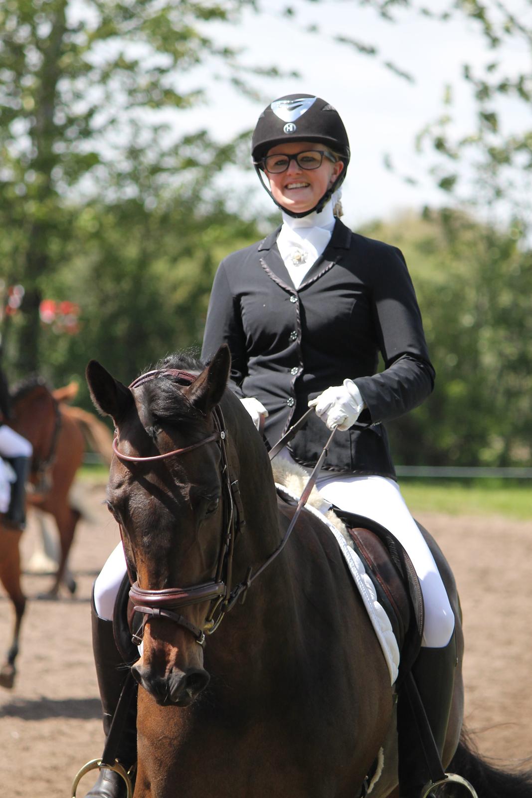 Dansk Varmblod Cocktail - På opvarmningen Inden det går løs på banen :) billede 28