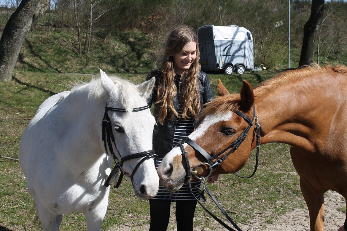 Anden særlig race Armarni - Begge stjerner og elskede Lau <3  billede 3