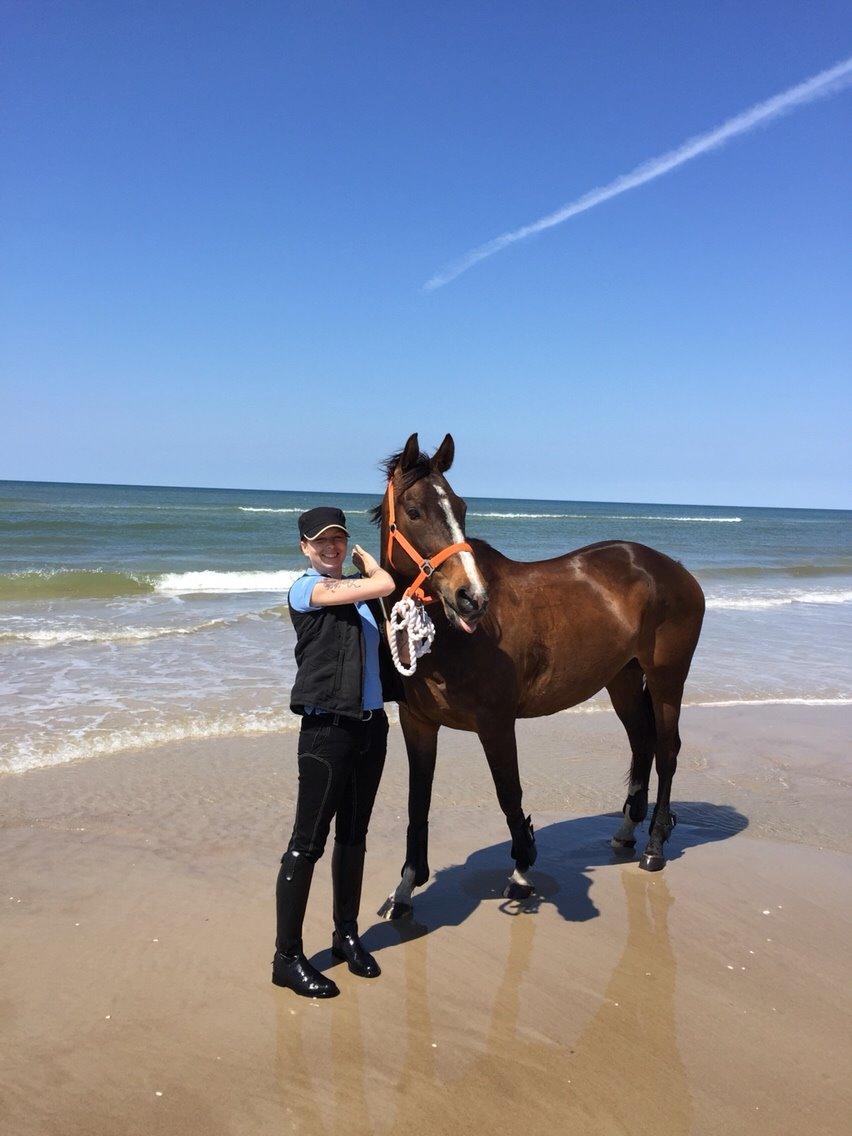 Dansk Varmblod njd/skovly's filuca billede 22