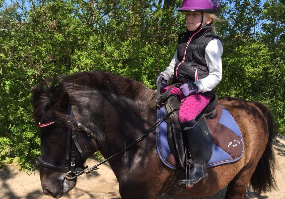 Anden særlig race Tornado billede 4