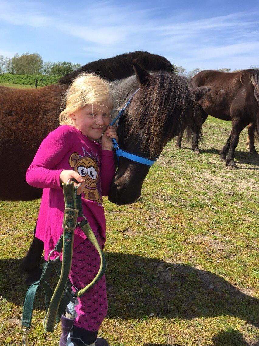 Anden særlig race Tornado billede 7