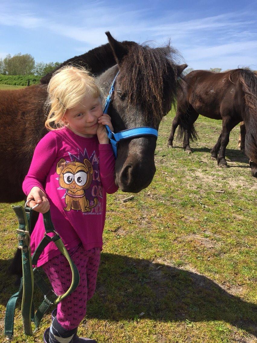 Anden særlig race Tornado billede 8