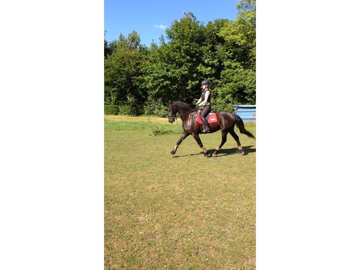 {{currentPhoto.altText}} billede {{currentPhoto.number}}