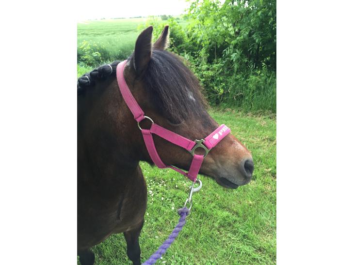 {{currentPhoto.altText}} billede {{currentPhoto.number}}