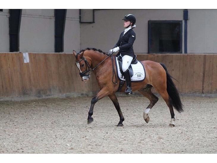 {{currentPhoto.altText}} billede {{currentPhoto.number}}