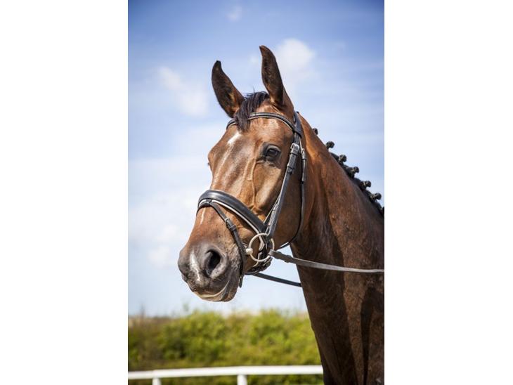 {{currentPhoto.altText}} billede {{currentPhoto.number}}