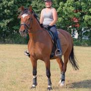 Anden særlig race Monique