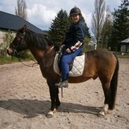 Anden særlig race Hopa