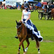 New Forest Kantje´s Isabella AKA Pony