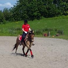 Anden særlig race Talon Memphis AKA. Mems<3