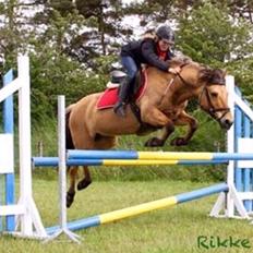 Anden særlig race Maude af mølleagergård
