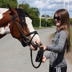 Pinto Mondial Højgård