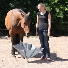 Traver | Kaliber Toft - Evigt fri <3