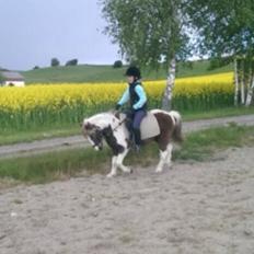 Anden særlig race Ole