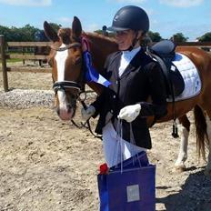 Irsk Sportspony Mr. Derwin <3